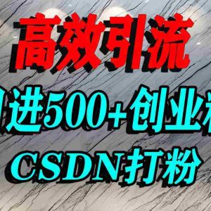 怎么打创业粉？CSDN又一个你不知道的打粉引流神秘平台，单人日引500+精准流量