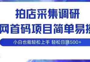 拍店采集调研，全网首码项目，简单易操作， 小白也能轻松上手，多账号操作，轻松日入5张【揭秘】