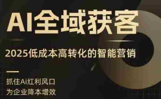 AI全域获客实训营，2025低成本高转化的智能营销，精准找客，高效营销