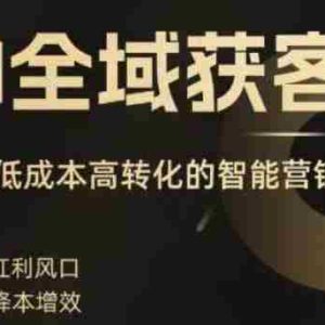 AI全域获客实训营，2025低成本高转化的智能营销，精准找客，高效营销