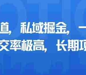 小众赛道，私域掘金，一天多张，成交率极高，长期项目