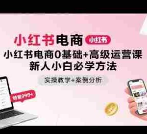 小红书电商0基础+高级运营课，新人小白必学方法，实操教学+案例分析