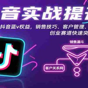 抖音实战提升课：解析抖音蓝v权益，销售技巧、客户管理、团队打造等创业赛道快速突围