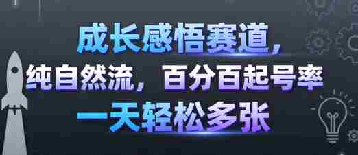 成长感悟赛道，纯自然流，百分百起号率 一天轻松多张