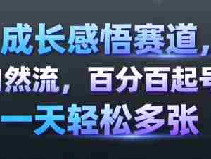 成长感悟赛道，纯自然流，百分百起号率 一天轻松多张