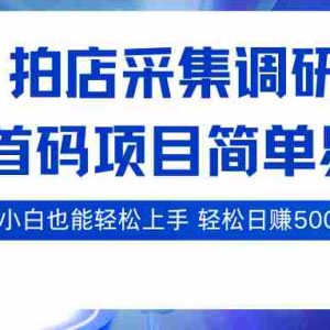 拍店采集调研，全网首码项目，简单易操作， 小白也能轻松上手，轻松日赚500+