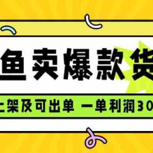 （15977期）闲鱼卖爆款货源，每天利润1000，上架即出单