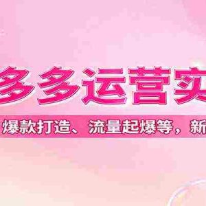 拼多多运营实战，付费推广、爆款打造、流量起爆等，新手轻松起店