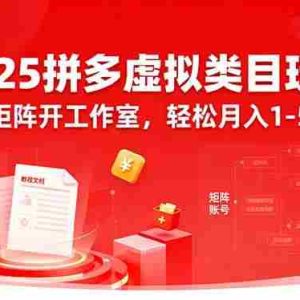 （15986期）2025拼多多虚拟类目玩法，可矩阵开工作室，轻松月入1-5W