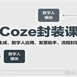 Coze封装课，图像生成、数字人应用、发票助手，流程封装技术