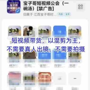 宝子哥头部团队短视频带货，以混剪为主，不需要真人出镜，不需要拍摄【更新9月】