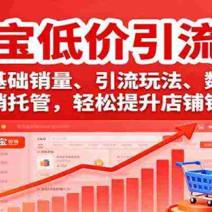 淘宝低价引流课，选品、基础销量、引流玩法、数据分析，营销托管，轻松提升店铺销量