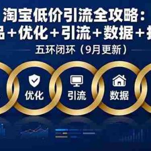 （16009期）淘宝低价引流全攻略：选品＋优化＋引流＋数据＋托管，五环闭环（9月更新）