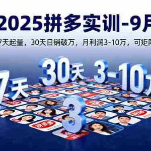（16008期）2025拼多多实训-9月：新手7天起量,30天日销破万,月利润3-10万,可矩阵复制
