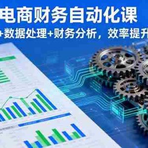 （16021期）2025电商财务自动化课，模型搭建+数据处理+财务分析，效率提升80%