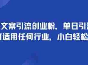 手掌文案引流创业粉，单日引流100+，可适用任何行业，小白轻松上手