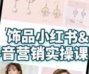 抖音+小红书饰品卖货：货源、开店、内容全教会，让新手快速掌握饰品线上营销全流程，轻松开启变现路