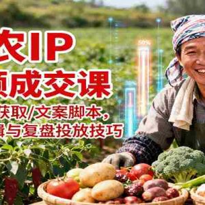 三农IP短视频成交课：定位/流量获取/文案脚本，掌握拍摄剪辑与复盘投放技巧