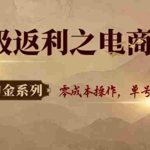 快递淘金系列；超级返利之电商掘金，零成本操作，单号20+支持多号