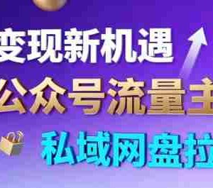公众号流量主+私域网盘拉新，多方式变现，简单易上手，当天就有收益