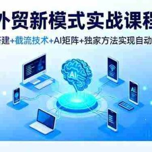 （16363期）外贸新模式实战课程，账号搭建+截流技术+AI矩阵+独家方法实现自动化获客