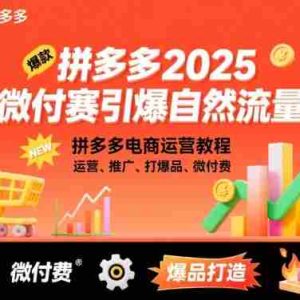 拼多多2025微付费引爆自然流量，拼多多电商运营教程，运营、推广、打爆品、微付费（更新）