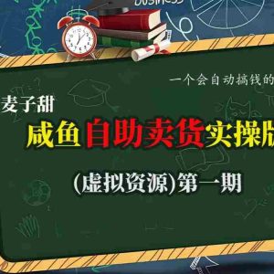 麦子甜咸鱼自助卖货实操版（虚拟资源）一个会自动搞钱的机器