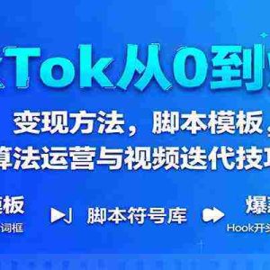 TikTok从0到爆单：变现方法，脚本模板，算法运营与视频迭代技巧