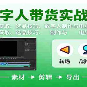 数字人变现实战课：流量获取、选品技巧、数字人制作与电脑剪辑