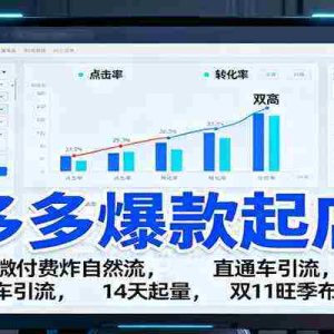 拼多多爆款起店课：微付费炸自然流，直通车引流，14天起量，双11旺季布局