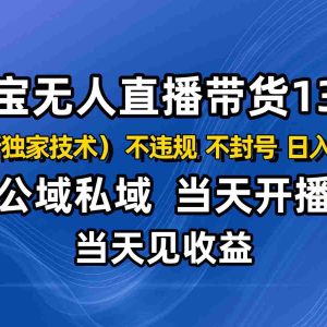淘宝无人直播13.0，公域私域技术，不封号，不违规 布局下半年旺季赛道，日入2000+