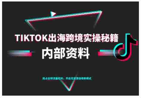 TikTok跨境电商0-1搭建运营，TK出海跨境实操秘籍（10月更新）